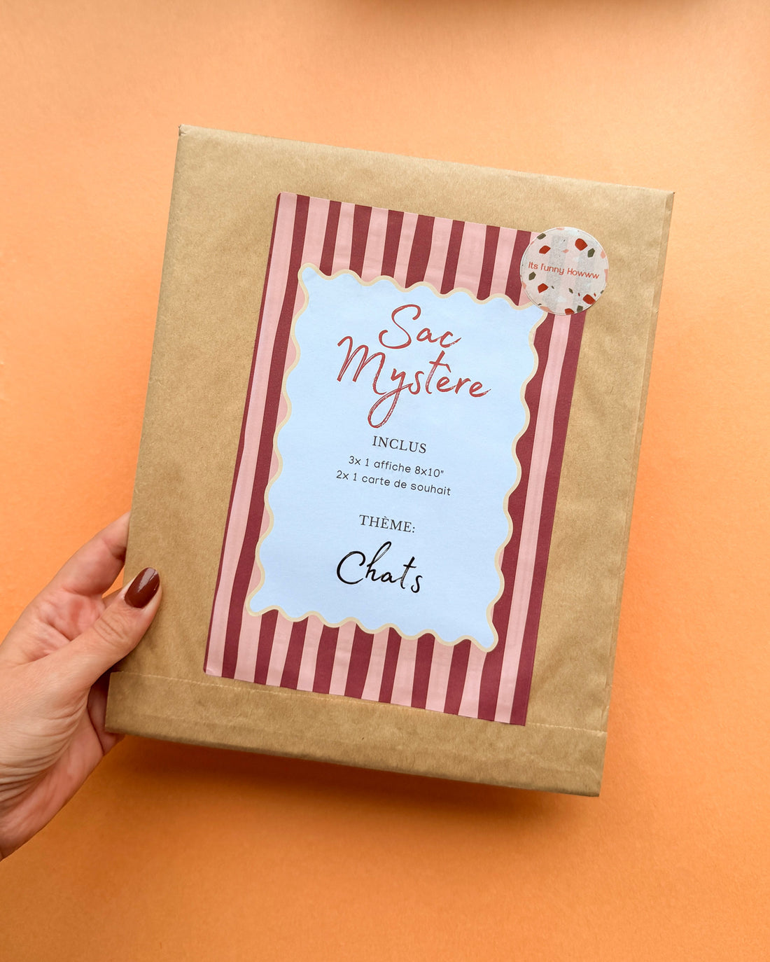 Mystery Bag ✨