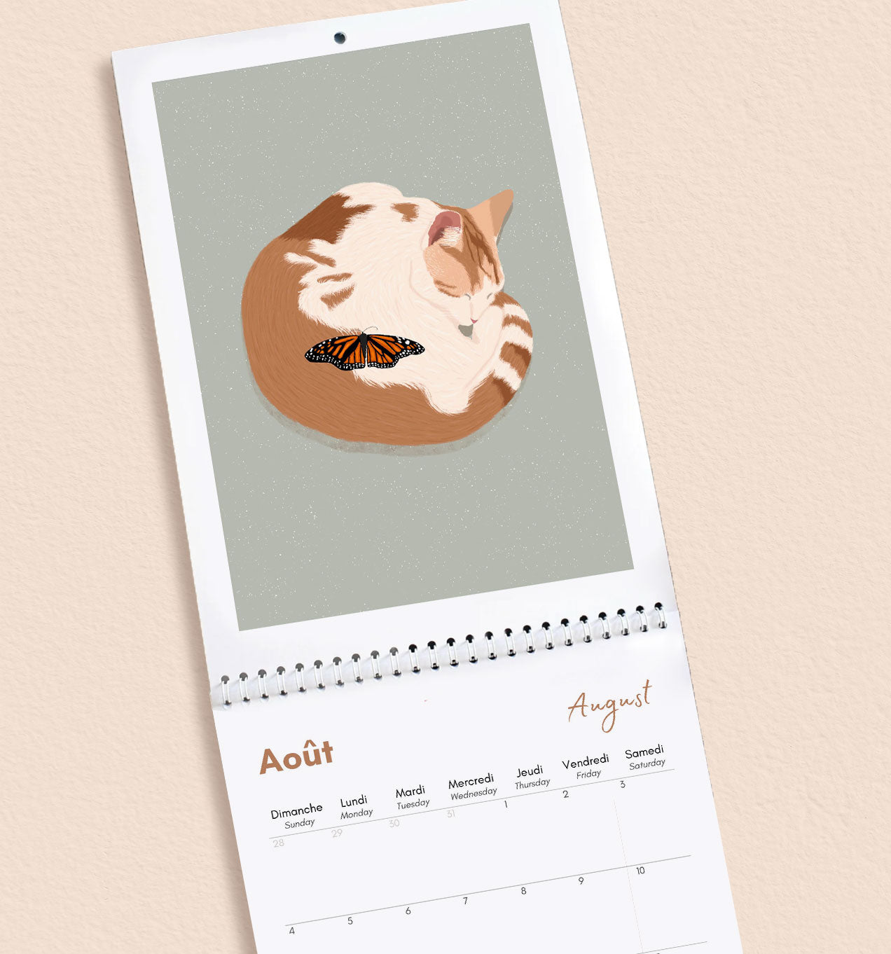 2024 Cat Wall Calendar