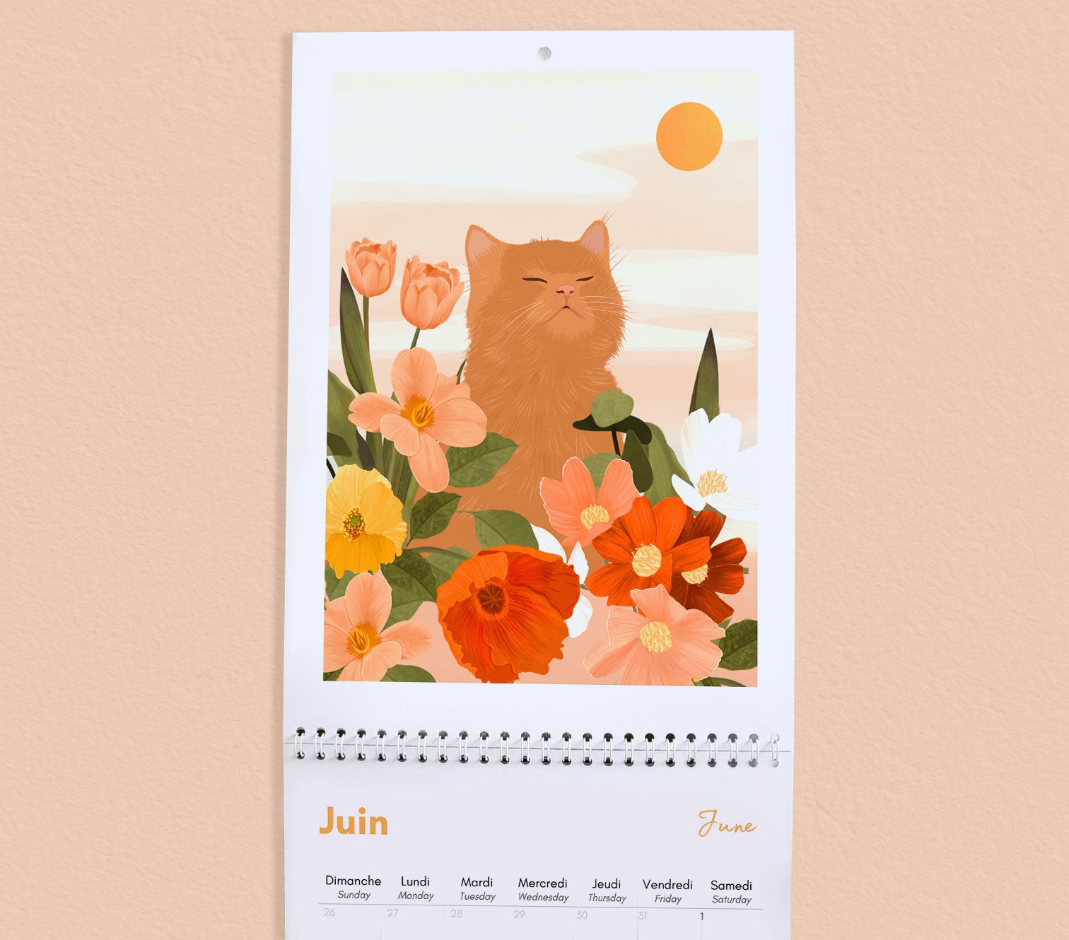 2024 Cat Wall Calendar