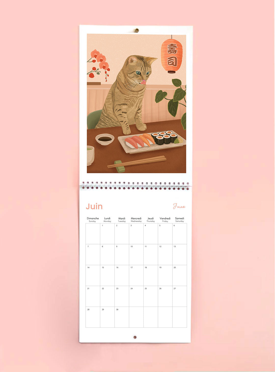 2027 Cat Wall Calendar