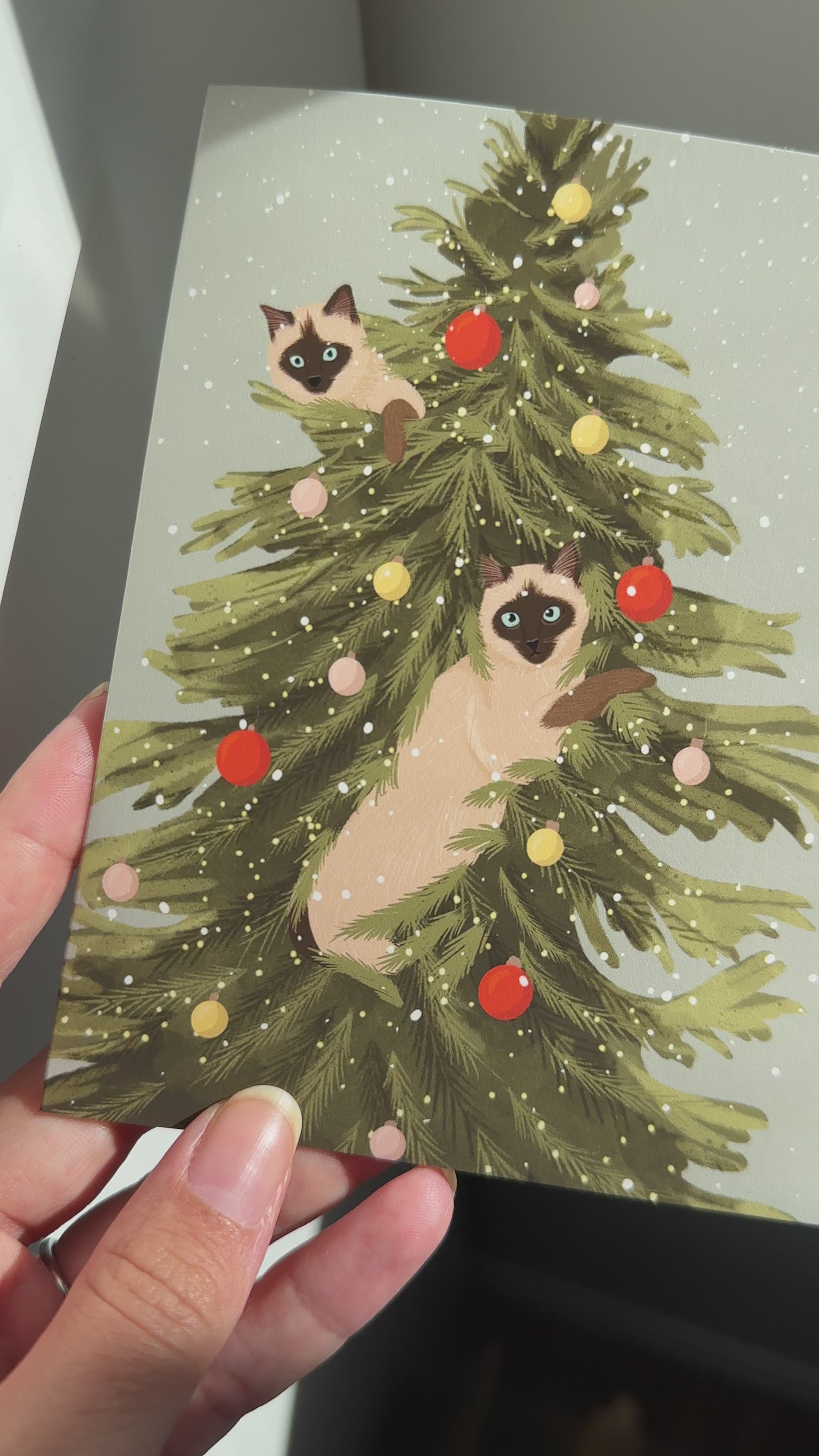 Arbre Siamois