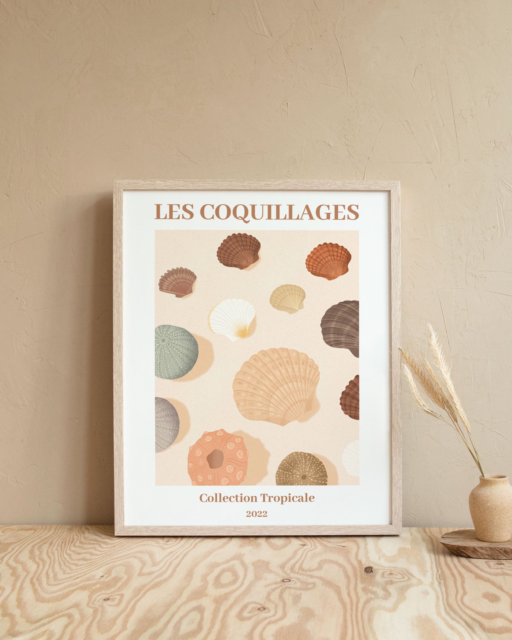 Les Coquillages