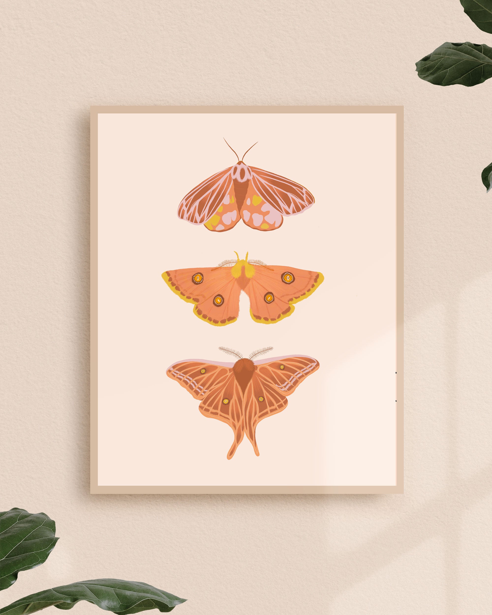 Papillons