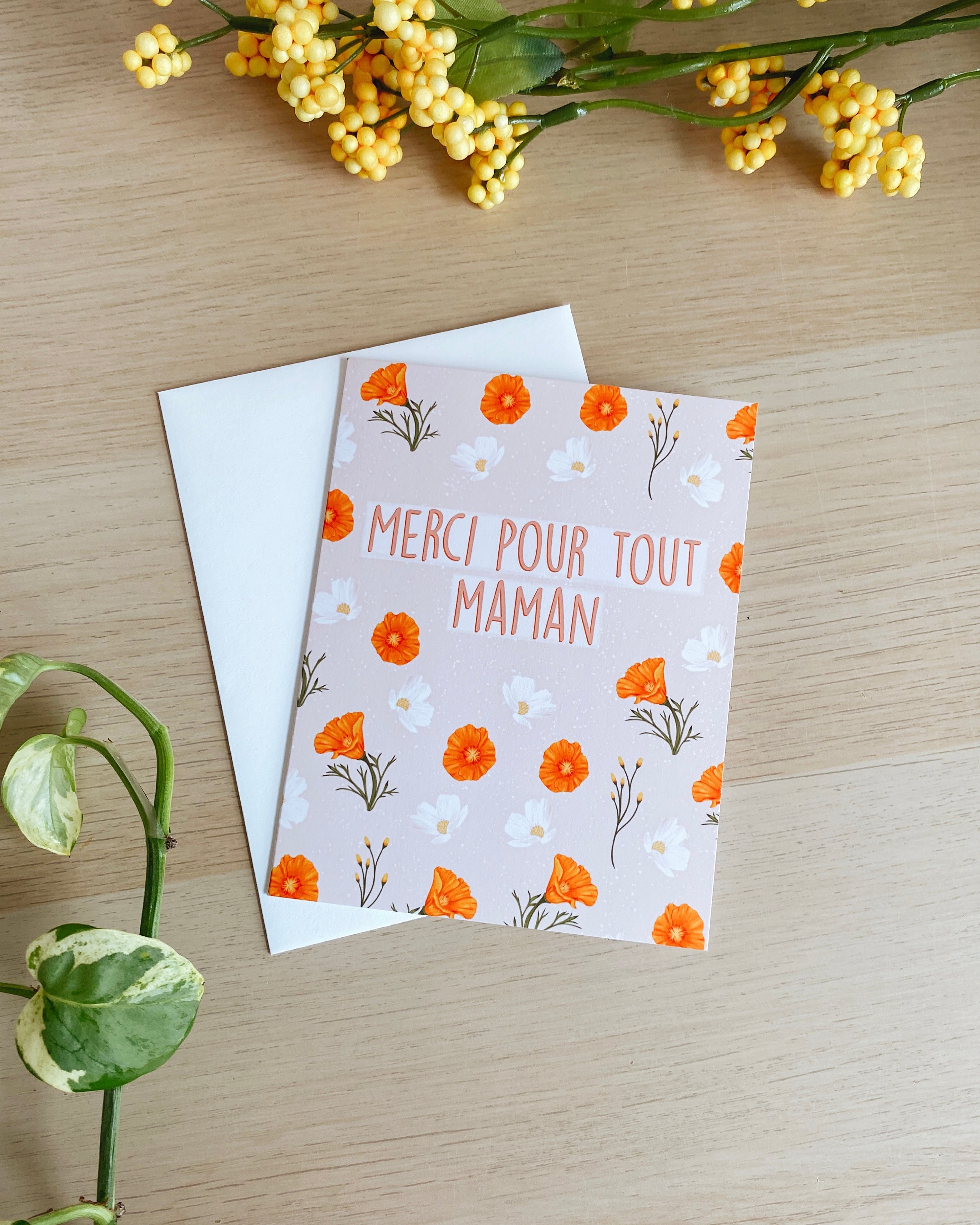 Merci pour tout maman (ANG/FR)