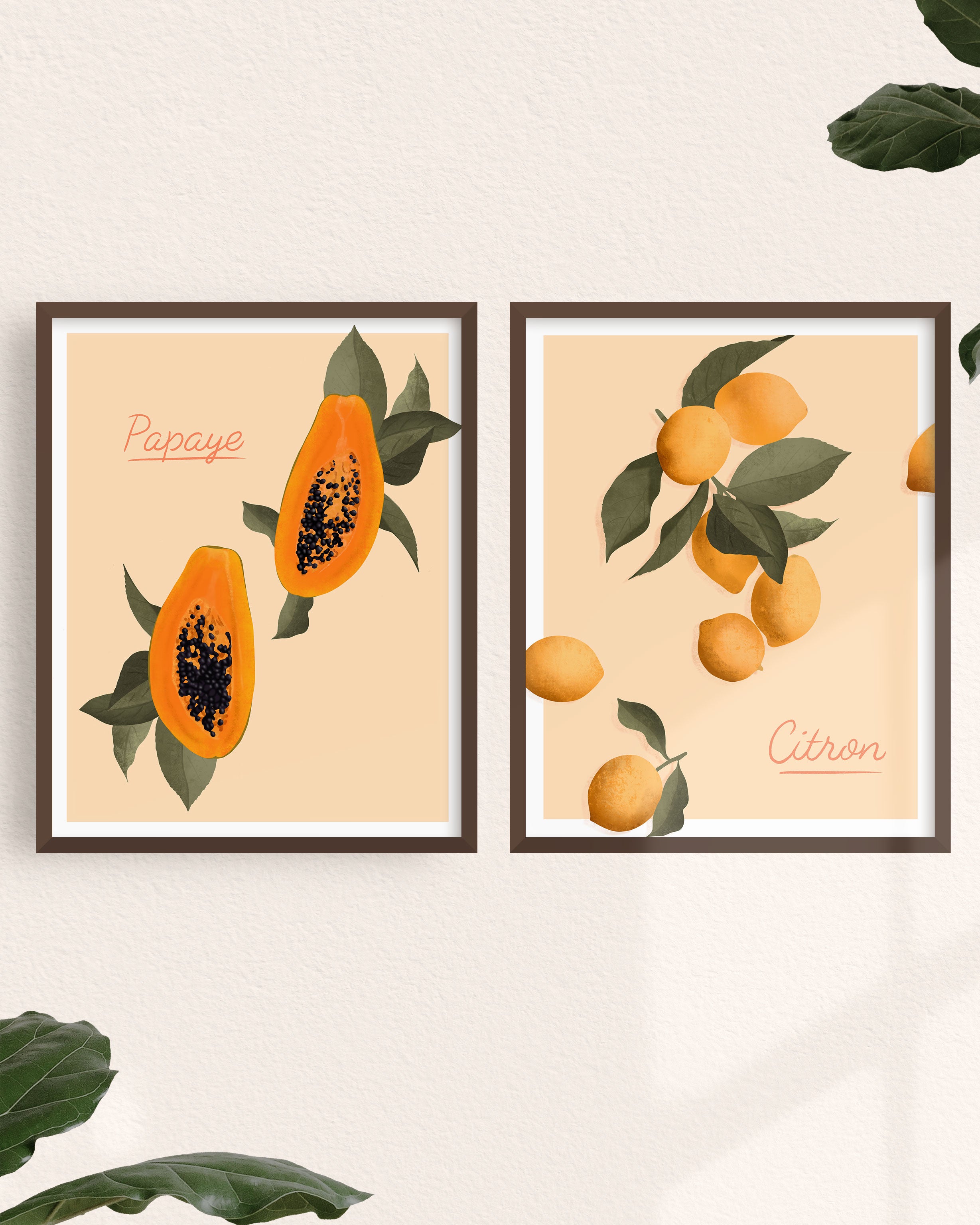 Fruits