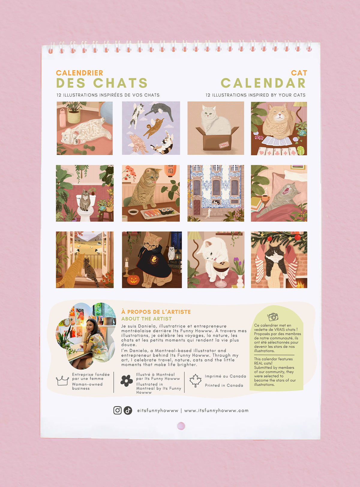 2027 Cat Wall Calendar