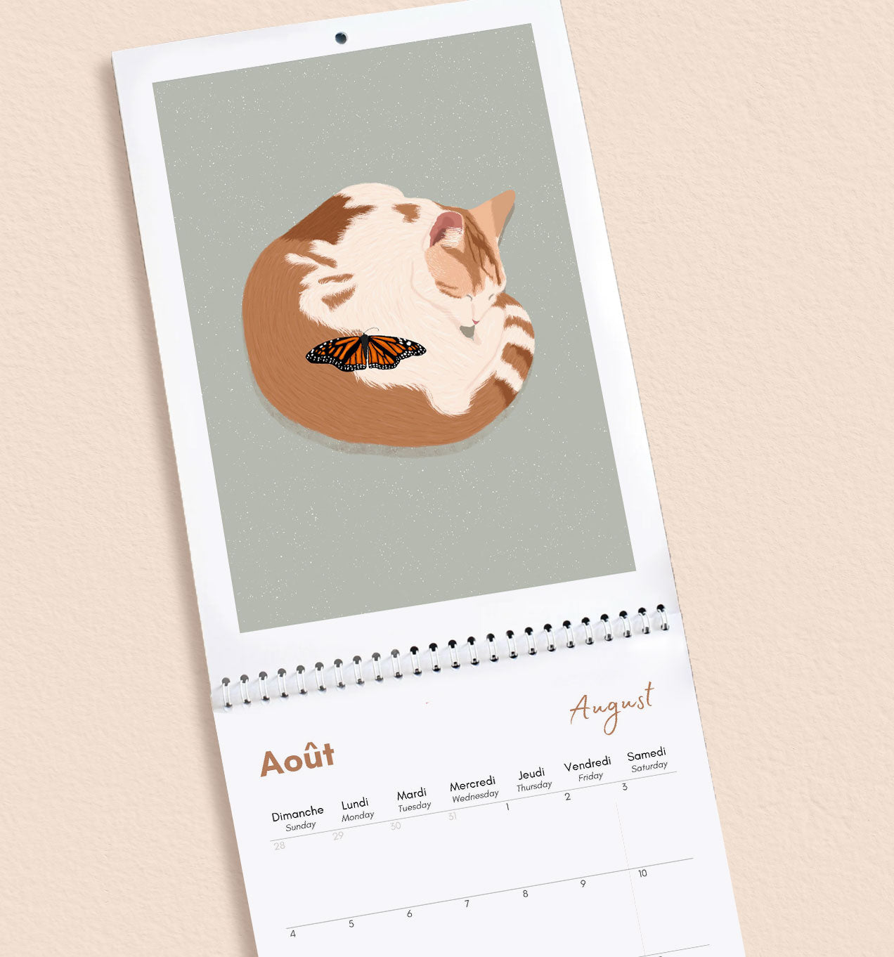 2024 Cat Wall Calendar – Itsfunnyhowww