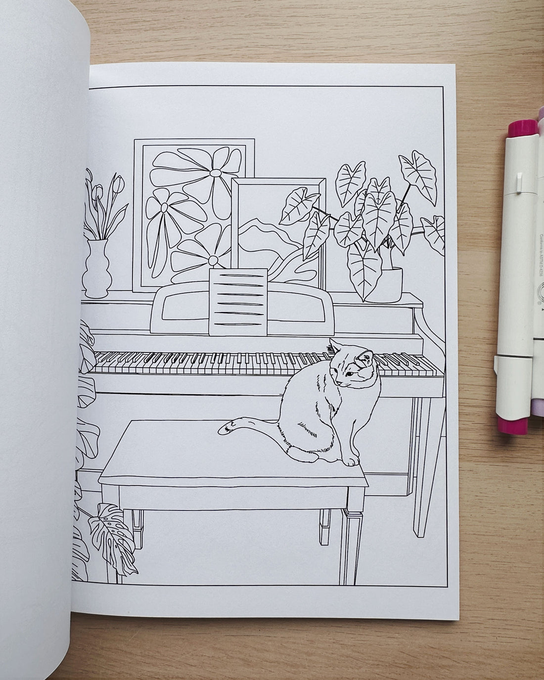 Cat Coloring Book