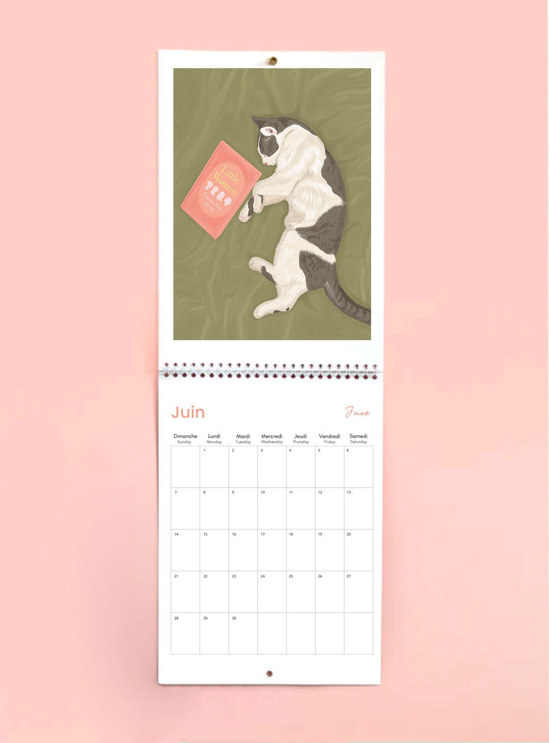 2026 Cat Wall Calendar