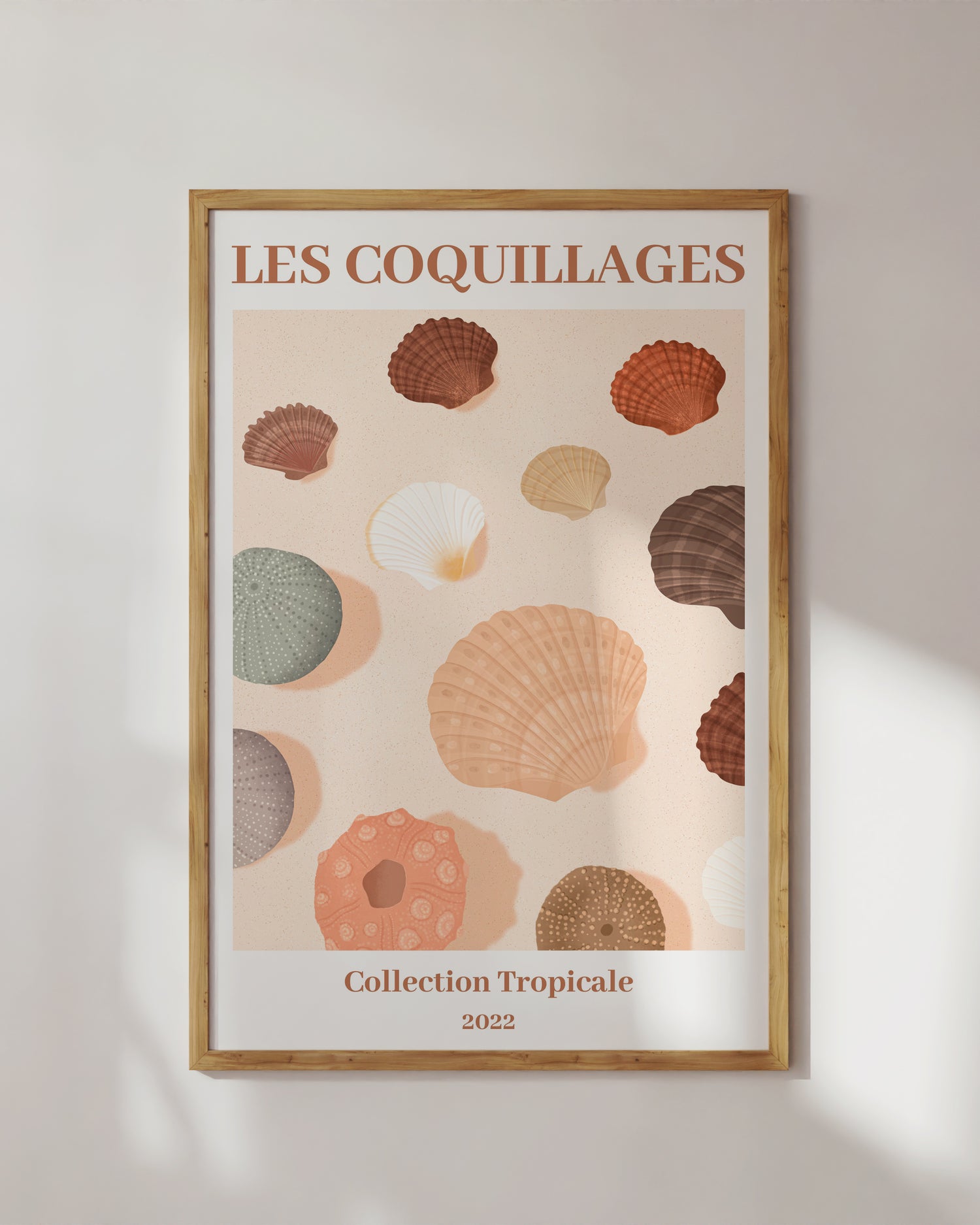 Les Coquillages