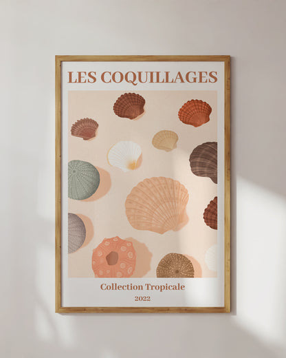 Les Coquillages