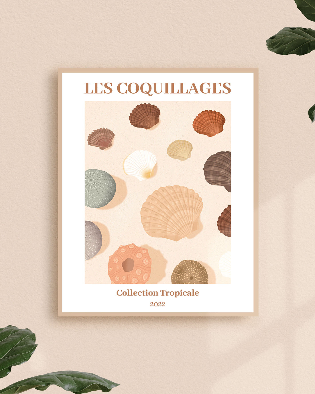 Les Coquillages